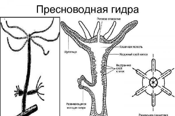 Mega marketplace ссылка