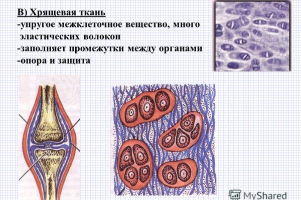 Mega market ссылка тор